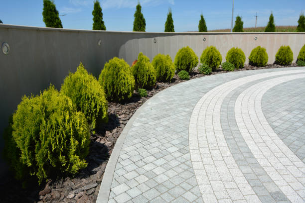 Professional Driveway Pavers in Dove Valley, CO